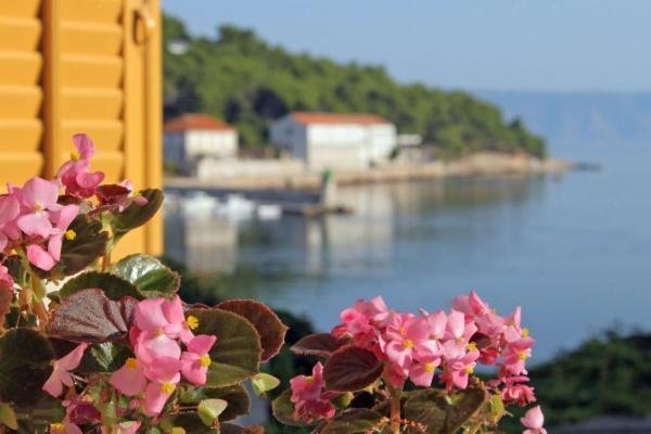 Villa Marga Jelsa  Kültér fotó