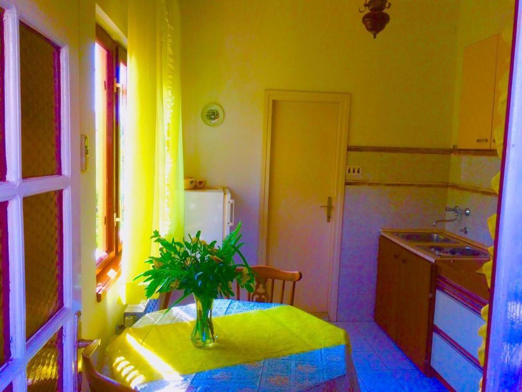 Villa Marga Jelsa  Kültér fotó